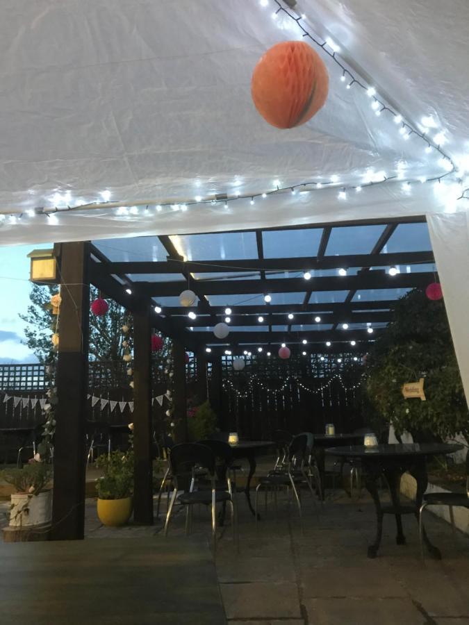 סנדרלנד Albion Boutique Guest House מראה חיצוני תמונה