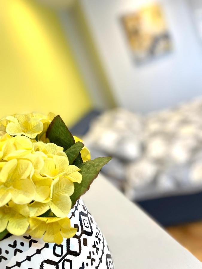 סנדרלנד Albion Boutique Guest House מראה חיצוני תמונה
